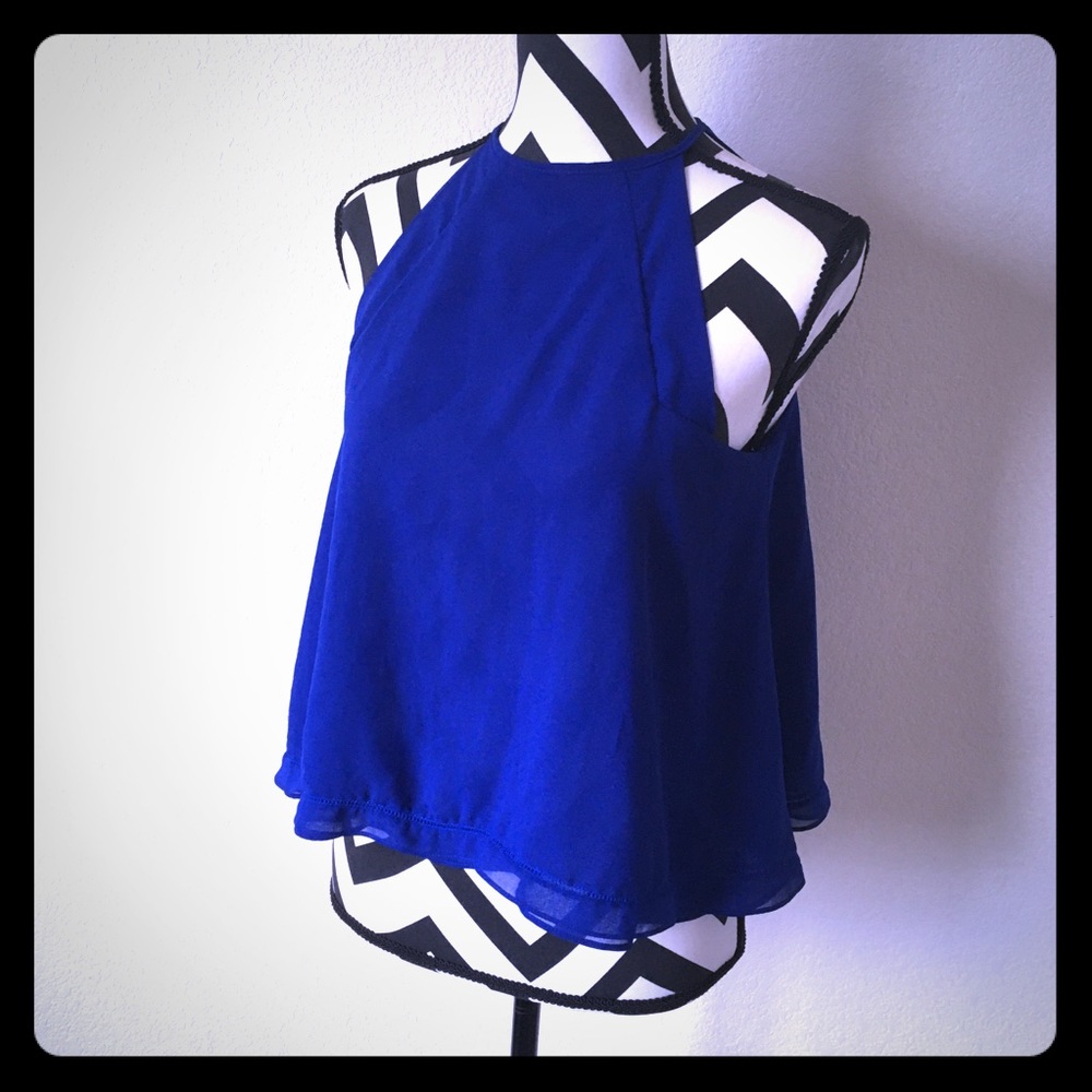 Zara Cobalt Semi-Sheer Top